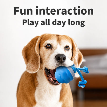 Interactive Dog Toys Smart Rolling Ball With Rope Motion Activated Automatic Moving Squeaky Dog Training Puppy Chew Toy Balls