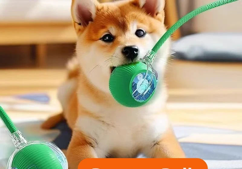 New Dog Interactive Ball Toy,Automatic Rolling Dog Ball Rechargeable,Smart Puppy Interactive Toy,Intelligent Balls Toy for Dogs