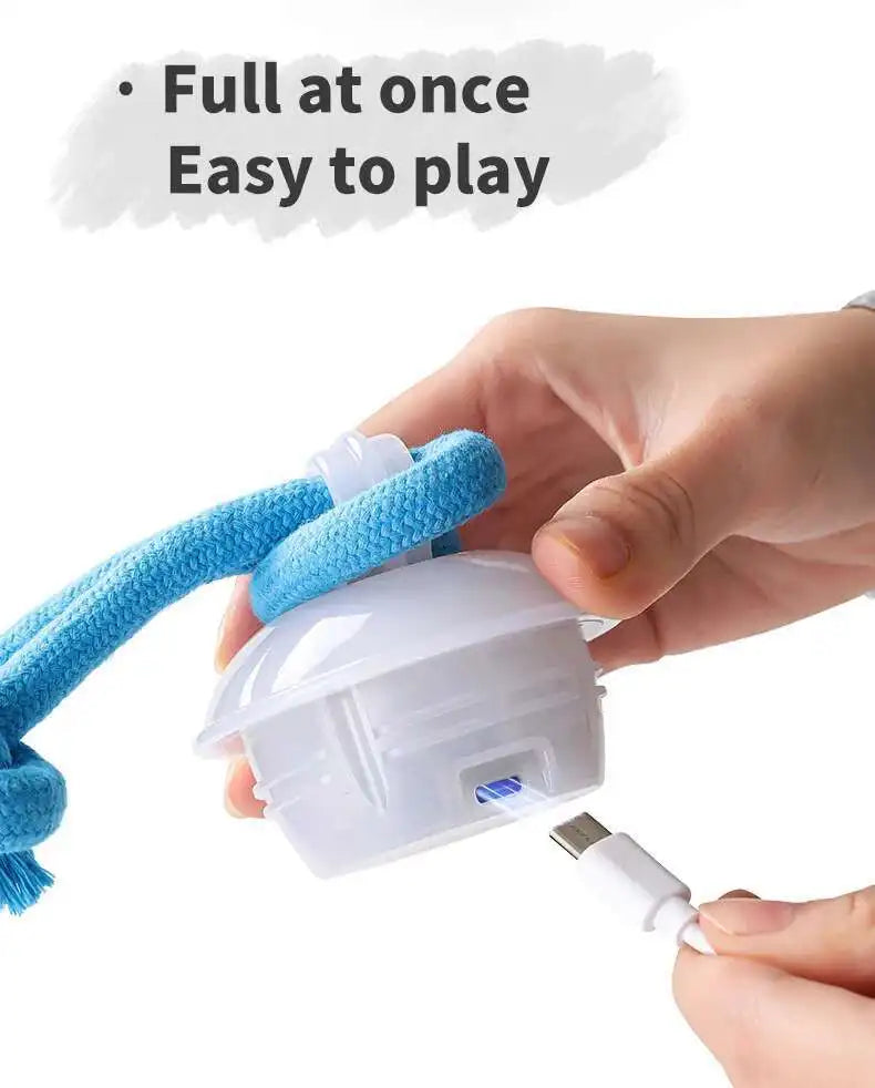 Interactive Dog Toys Smart Rolling Ball With Rope Motion Activated Automatic Moving Squeaky Dog Training Puppy Chew Toy Balls