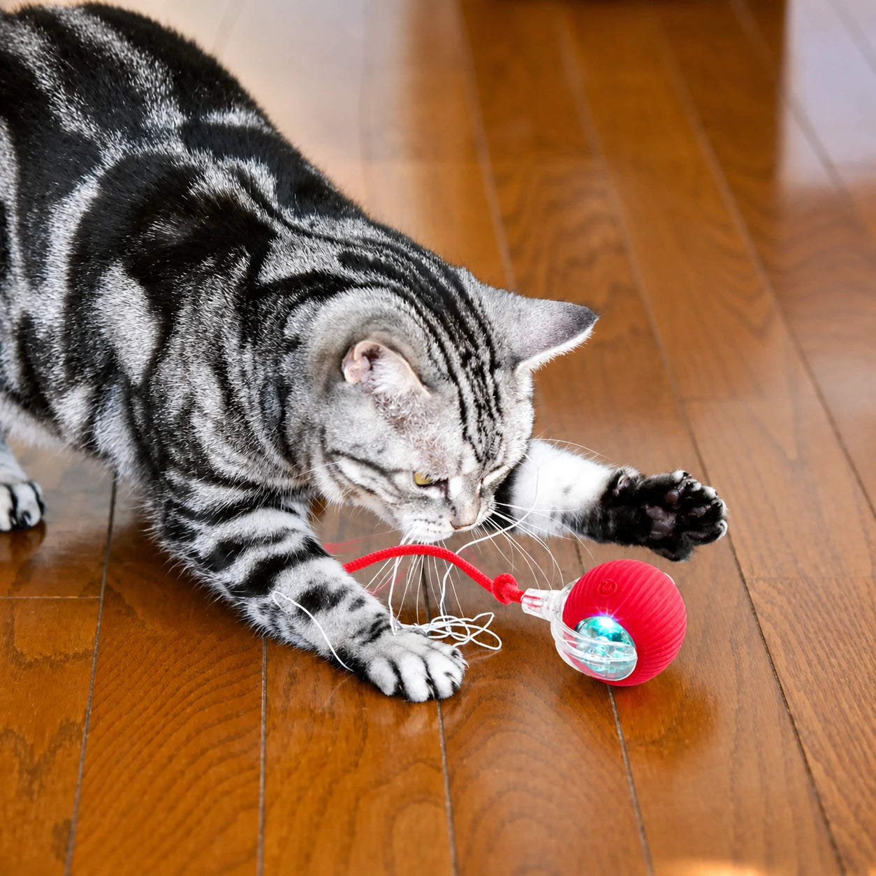 New Cat Interactive Ball Toy,Automatic Rolling Cat Ball Rechargeable,Smart Kitten Interactive Toy,Intelligent Balls Toy for Cat