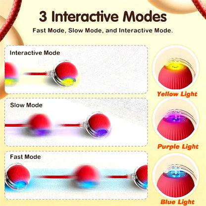 New Cat Interactive Ball Toy,Automatic Rolling Cat Ball Rechargeable,Smart Kitten Interactive Toy,Intelligent Balls Toy for Cat