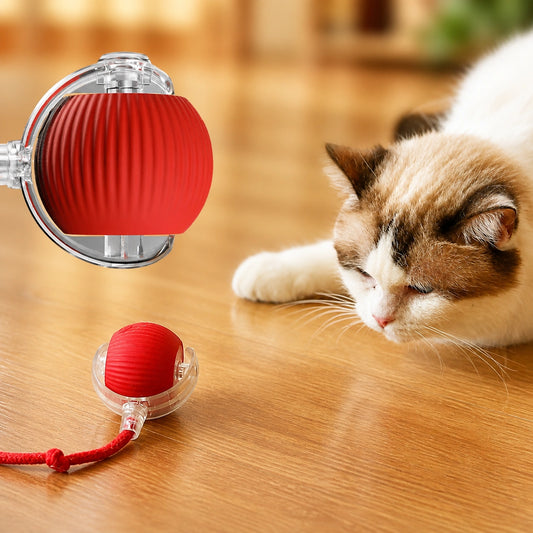 New Cat Interactive Ball Toy,Automatic Rolling Cat Ball Rechargeable,Smart Kitten Interactive Toy,Intelligent Balls Toy for Cat