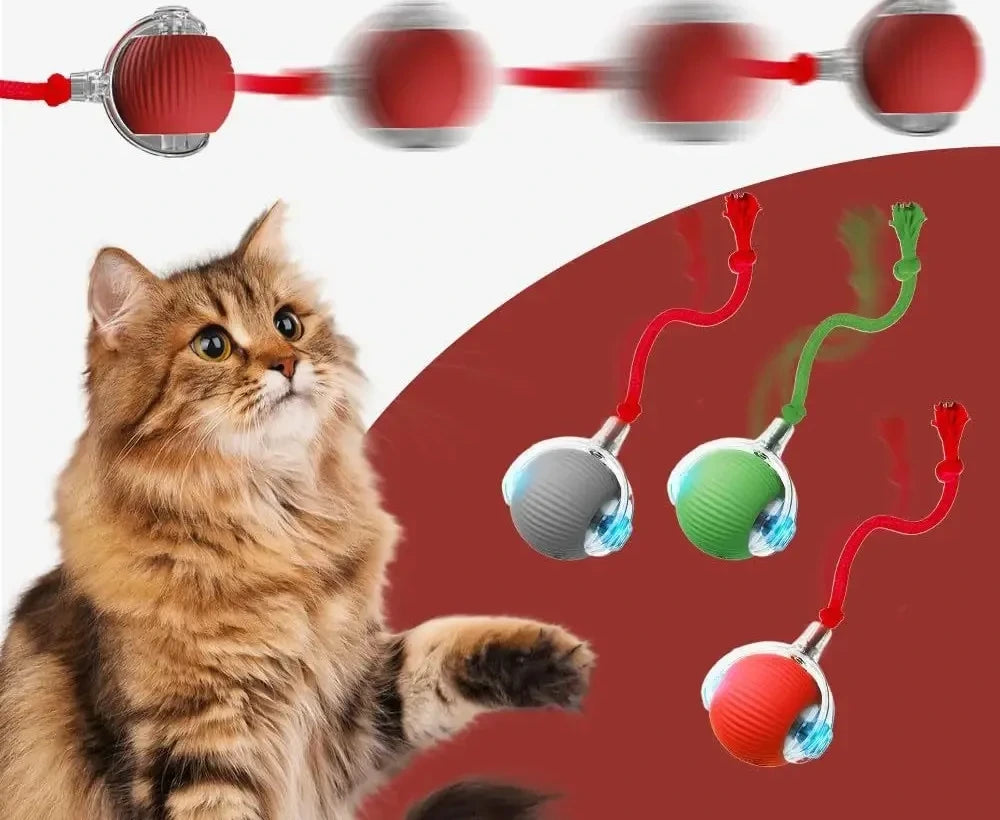 New Cat Interactive Ball Toy,Automatic Rolling Cat Ball Rechargeable,Smart Kitten Interactive Toy,Intelligent Balls Toy for Cat