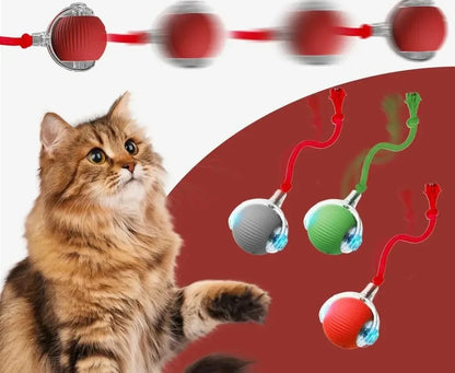 New Cat Interactive Ball Toy,Automatic Rolling Cat Ball Rechargeable,Smart Kitten Interactive Toy,Intelligent Balls Toy for Cat