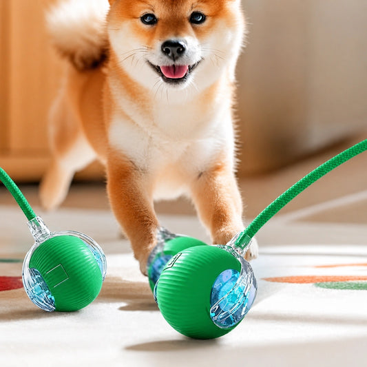 New Dog Interactive Ball Toy,Automatic Rolling Dog Ball Rechargeable,Smart Puppy Interactive Toy,Intelligent Balls Toy for Dogs