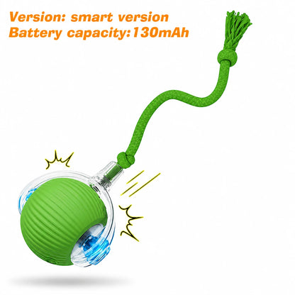 New Cat Interactive Ball Toy,Automatic Rolling Cat Ball Rechargeable,Smart Kitten Interactive Toy,Intelligent Balls Toy for Cat